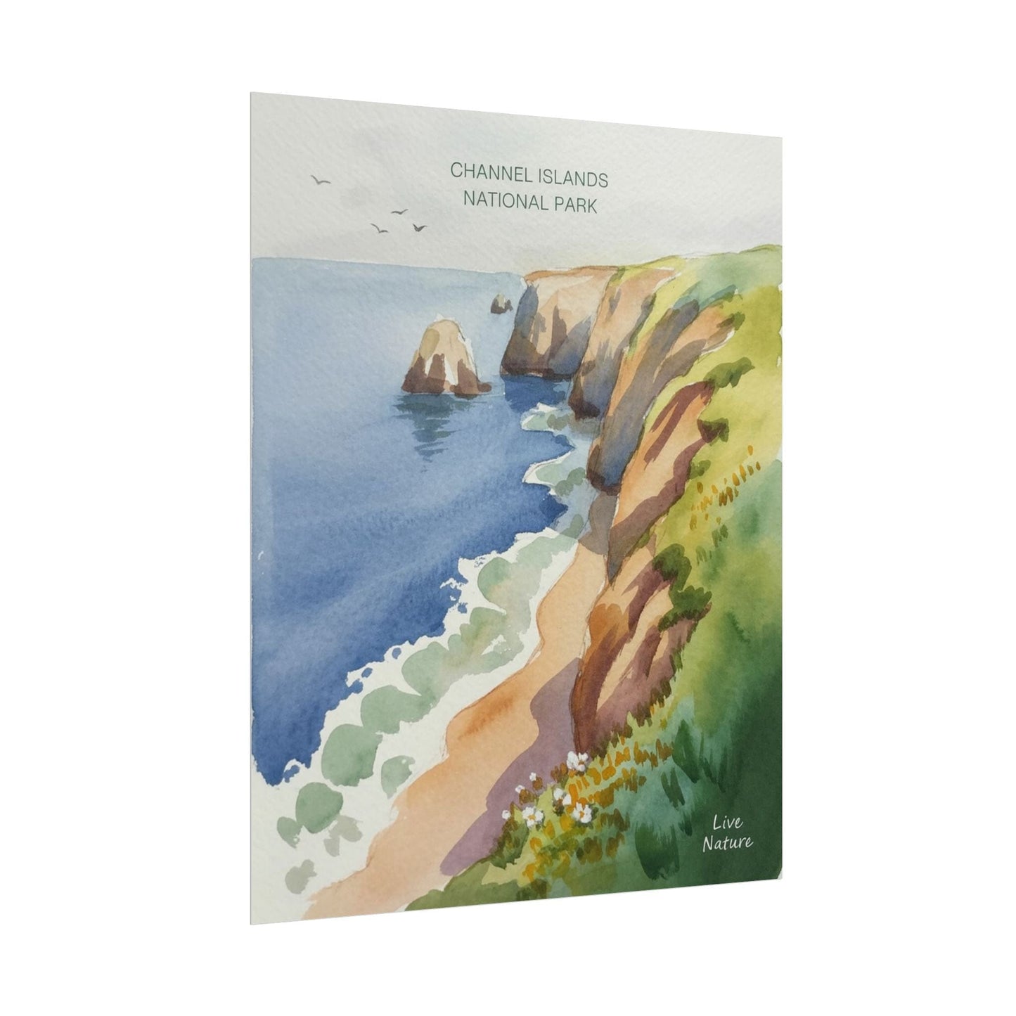 Channel Islands National Park Watercolor Poster Print