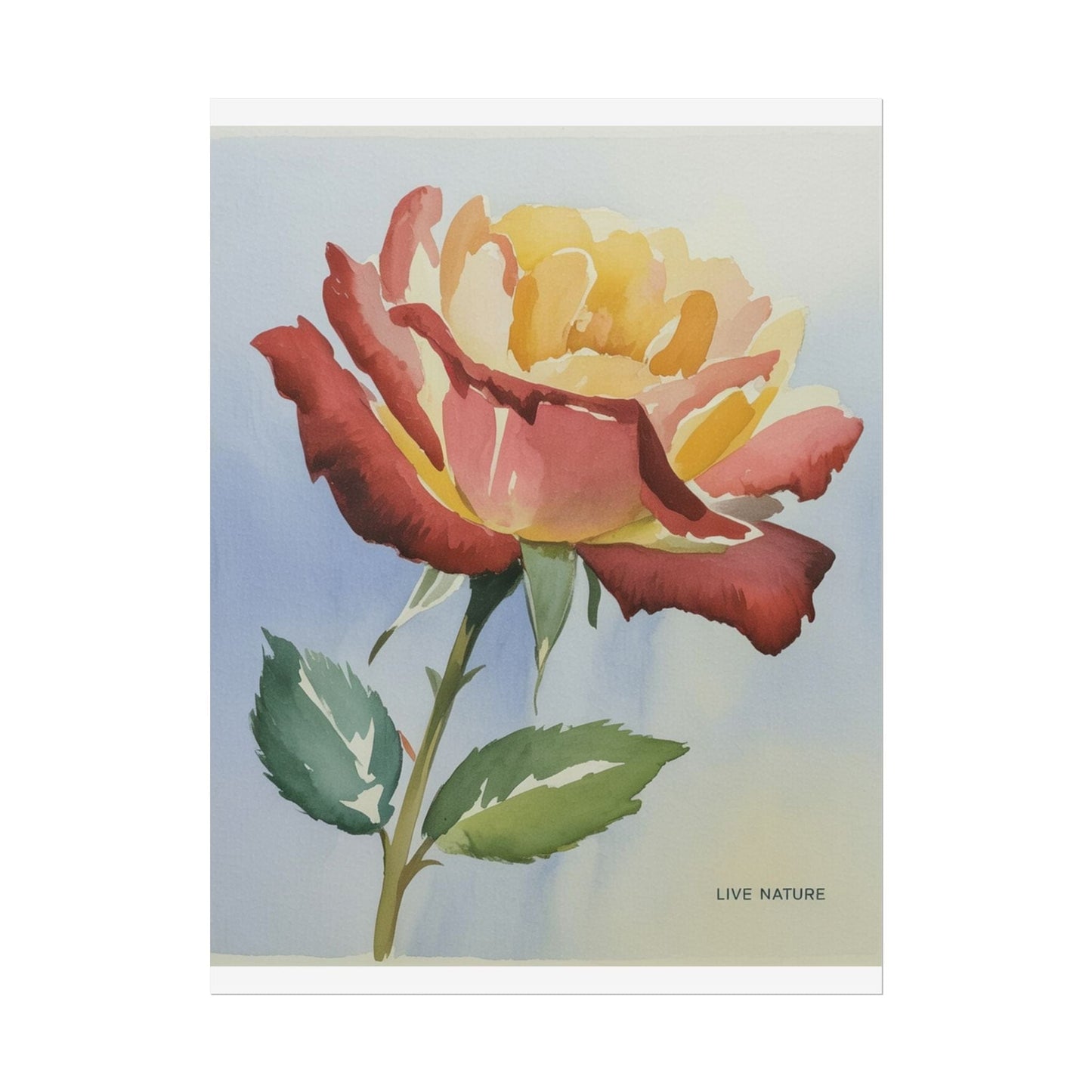 New York State Rose Watercolor Art Print