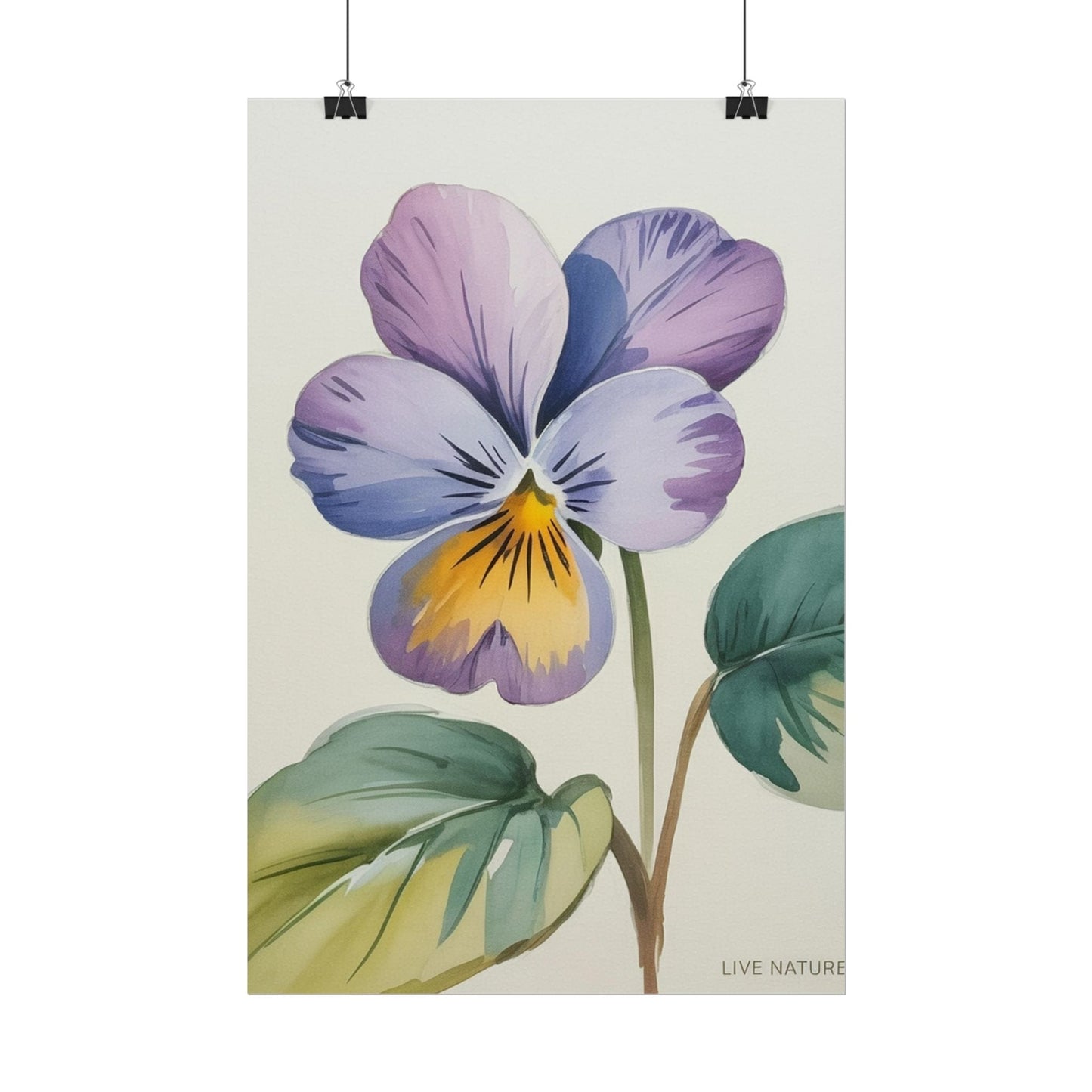 Wisconsin Wood Violet Watercolor Print – State Flower Art