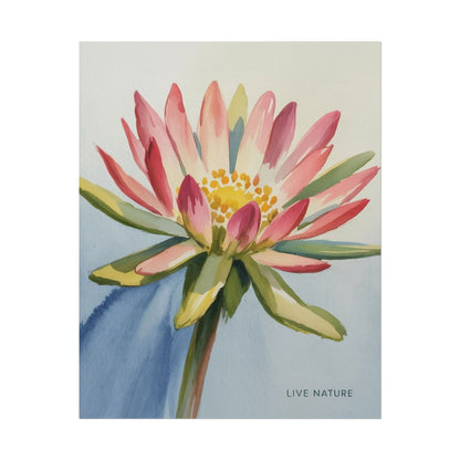 Bitterroot Flower Watercolor Print 'Live Nature