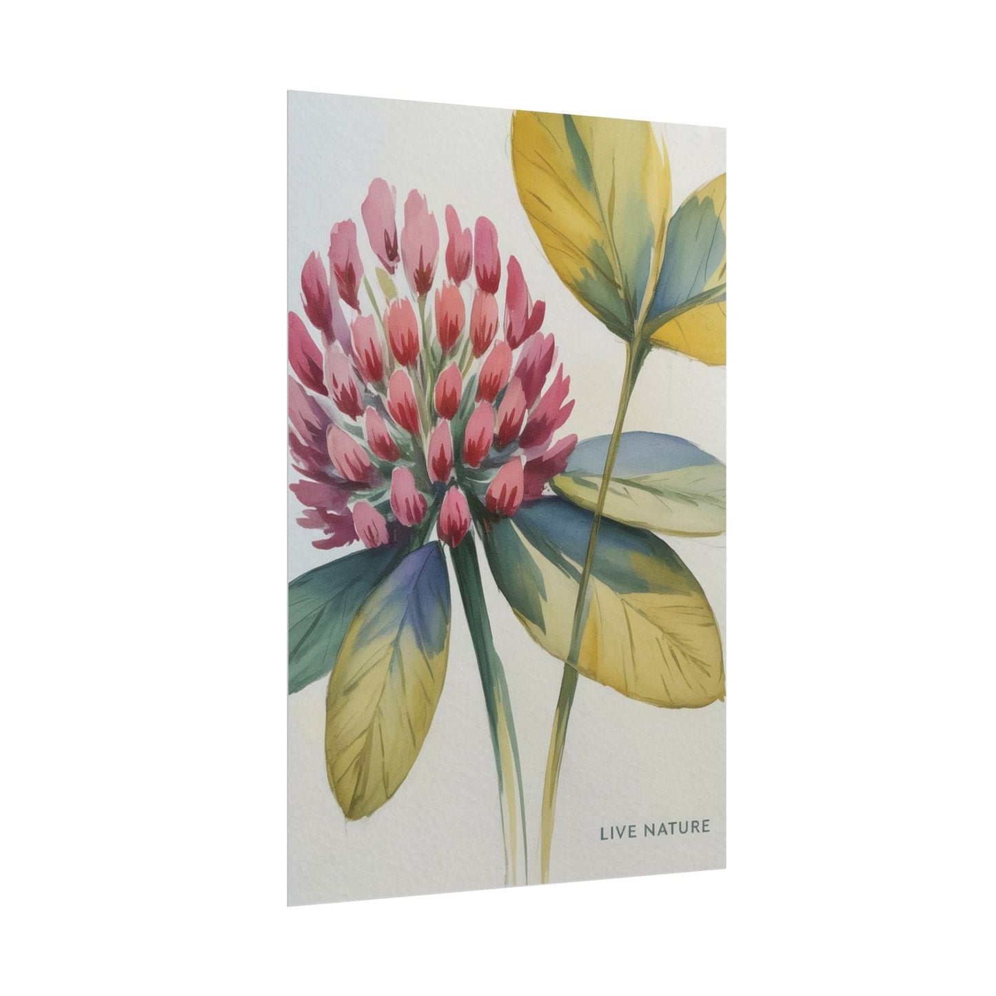 Red Clover Botanical Art Print 'Live Nature' Design