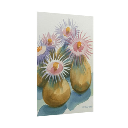 Colorful Sea Anemones Watercolor Art Print