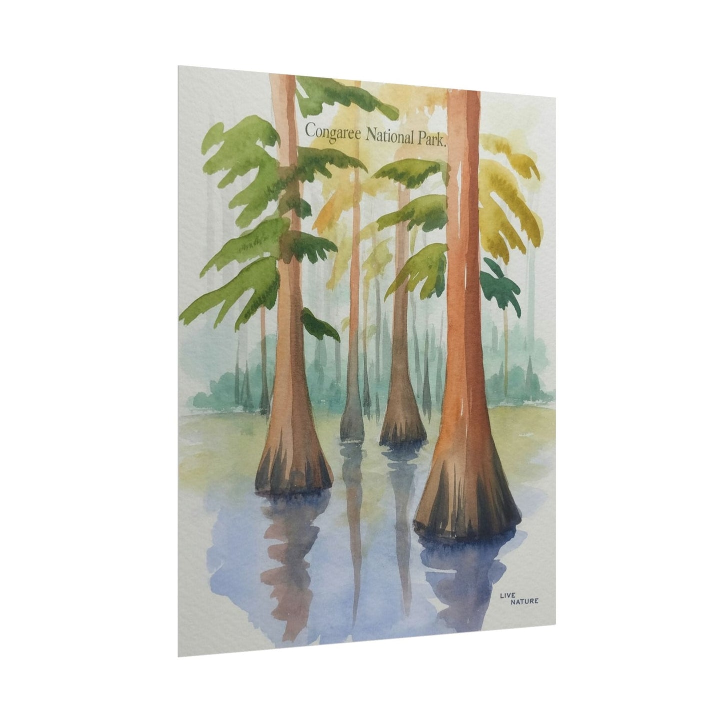 Congaree National Park Cypress Watercolor Poster