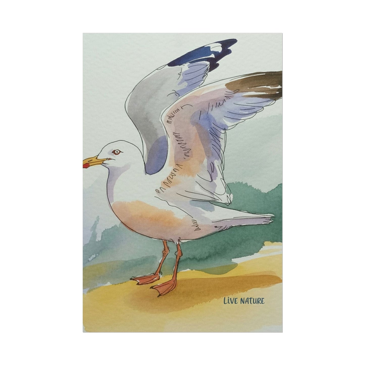 Seagull Watercolor Art Print 'Live Nature' Edition