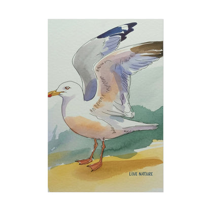 Seagull Watercolor Art Print 'Live Nature' Edition