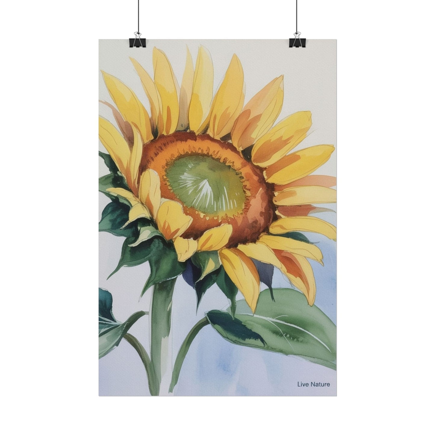 Kansas Sunflower Watercolor Art Print 'Live Nature