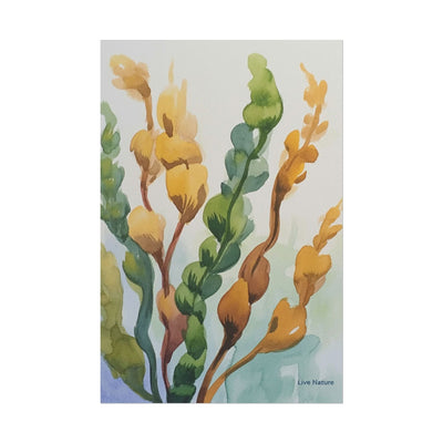 Seaweed Watercolor Art Print Coastal Nature Design