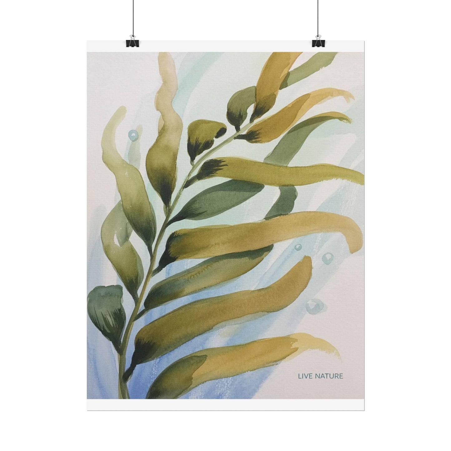 Live Nature Kelp Watercolor Print Poster