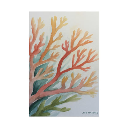 Live Nature Coral Watercolor Print on Fine Art Paper