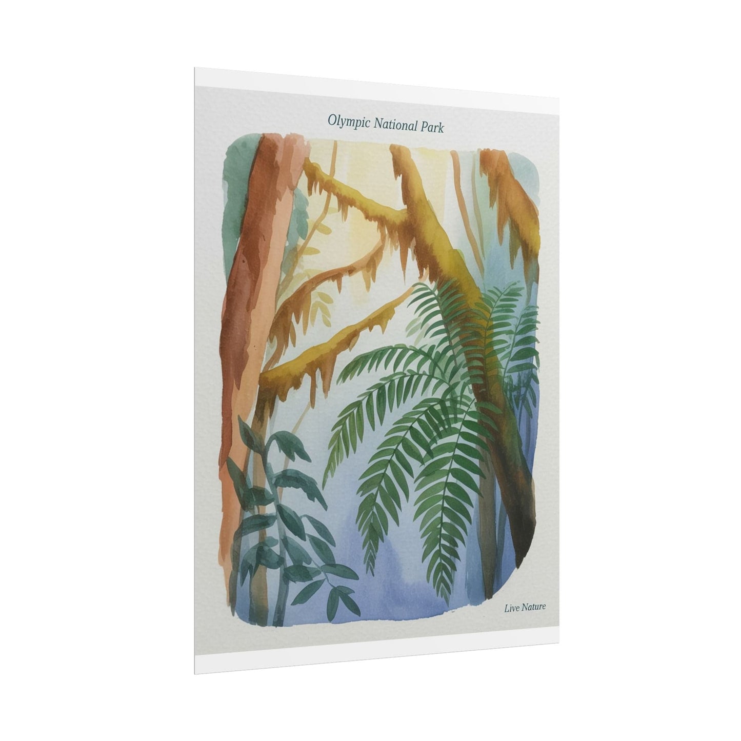 Olympic National Park Watercolor Forest Poster