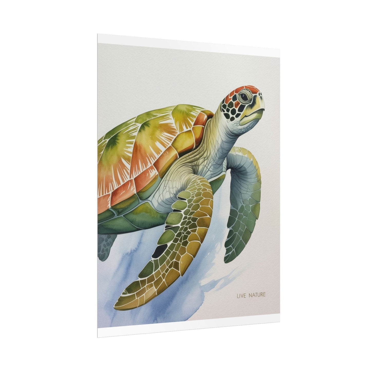 Sea Turtle Watercolor Art Print 'Live Nature' Design