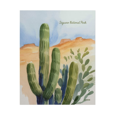 Saguaro National Park Watercolor Cactus Art Print