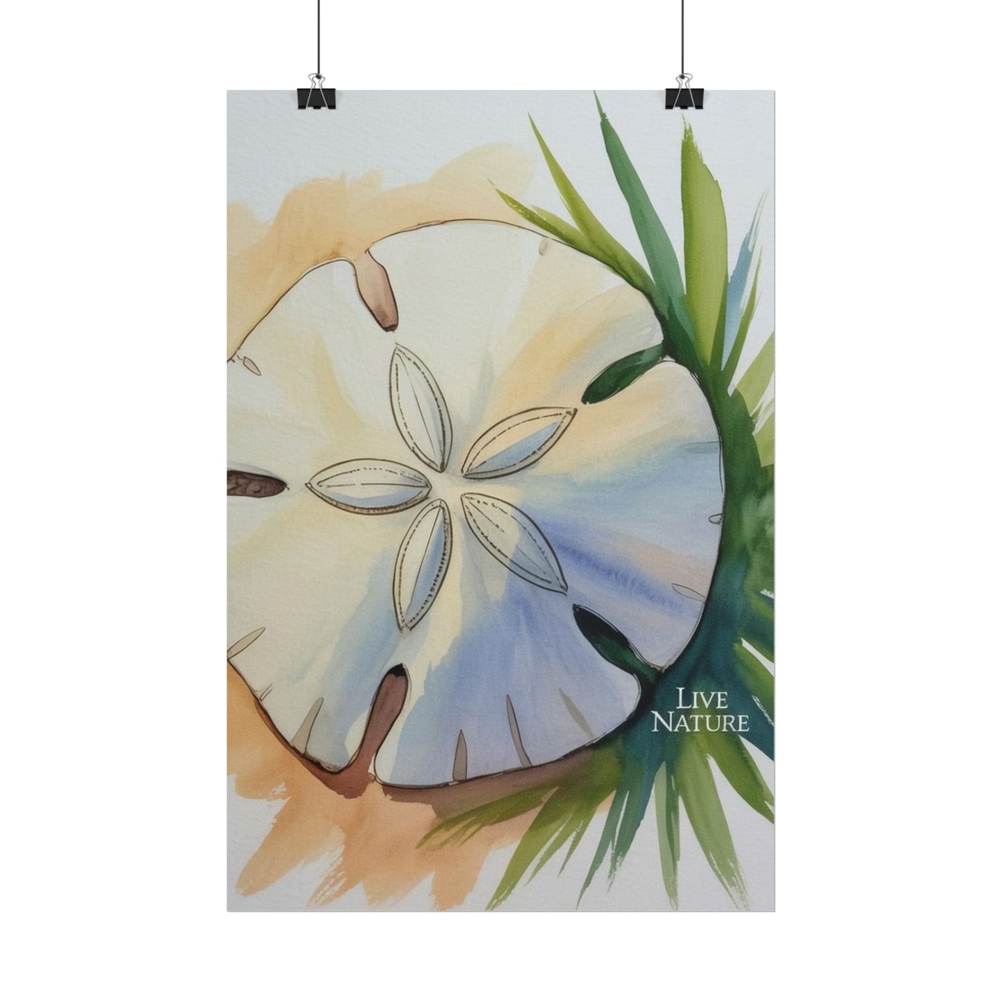 Sand Dollar Watercolor Print with 'Live Nature' Text