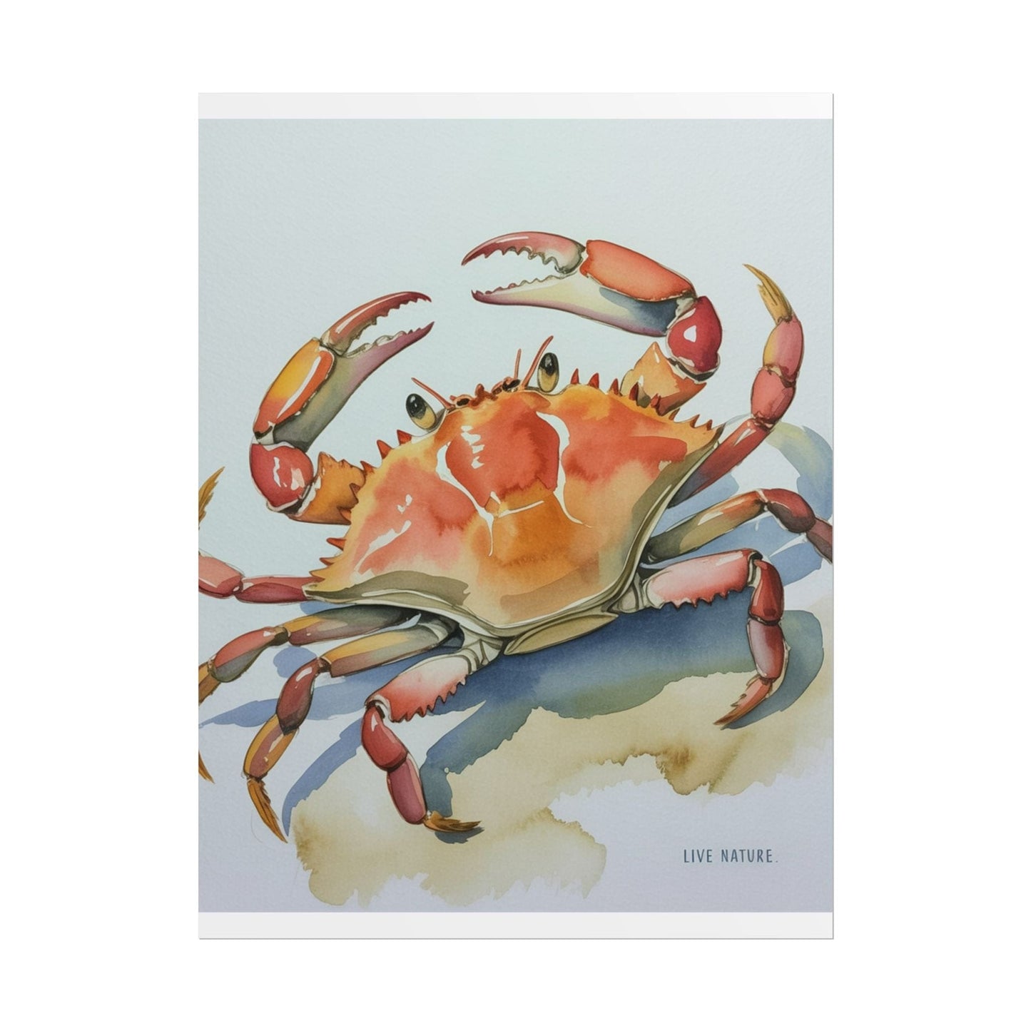 Live Nature Crab Watercolor Art Print Poster
