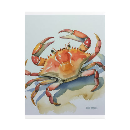 Live Nature Crab Watercolor Art Print Poster