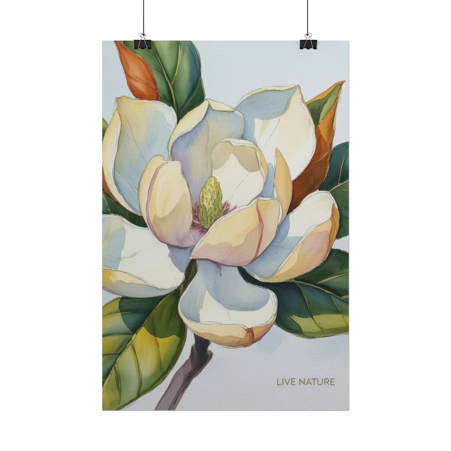 Magnolia Blossom Art Print on Fine Art Paper