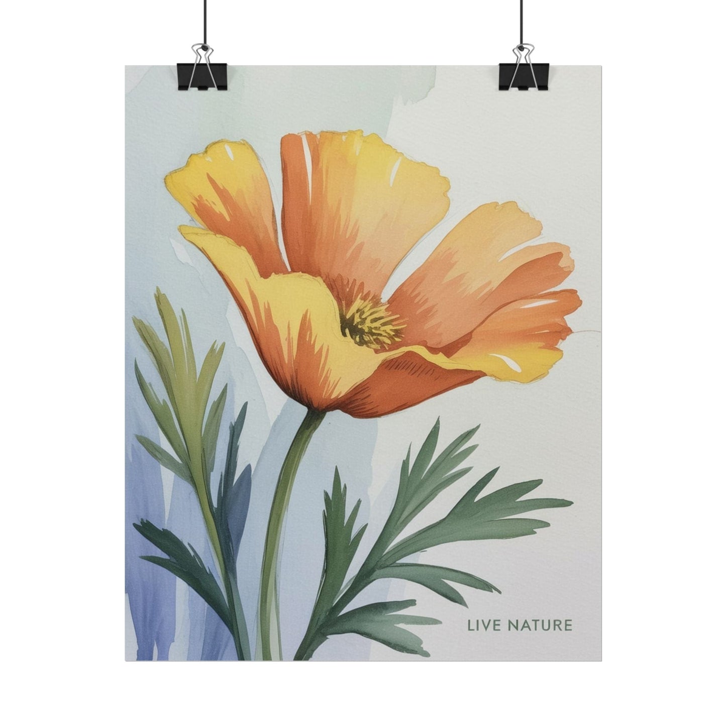 California Poppy Watercolor Art Print 'Live Nature