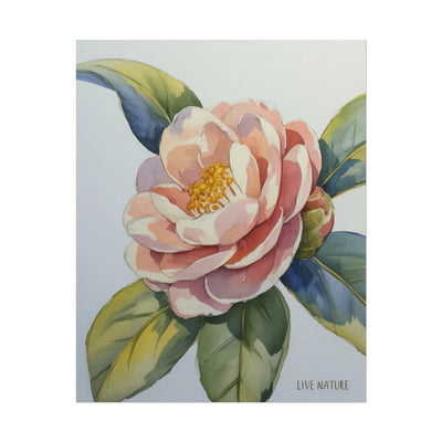 Camellia Flower Watercolor Art Print 'Live Nature