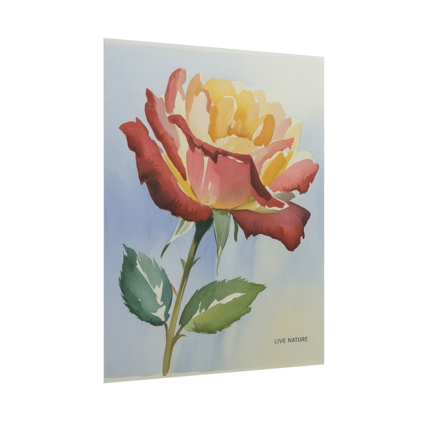 New York State Rose Watercolor Art Print
