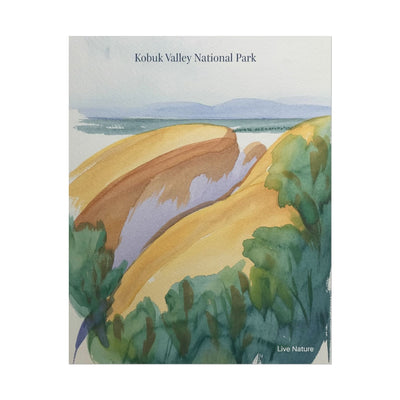 Kobuk Valley National Park Watercolor Poster Print