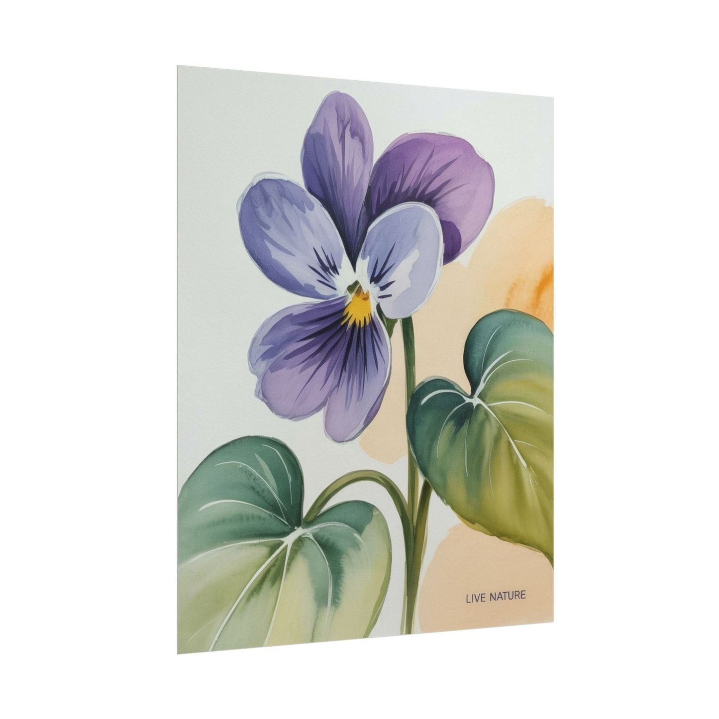 Prairie Violet Botanical Art Print - Live Nature Design