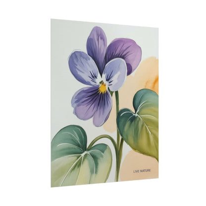 Prairie Violet Botanical Art Print - Live Nature Design
