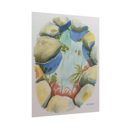 Rocky Tide Pool Watercolor Art Print 'Live Nature