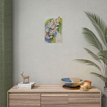 Idaho Syringa Blossom Watercolor Art Print Poster