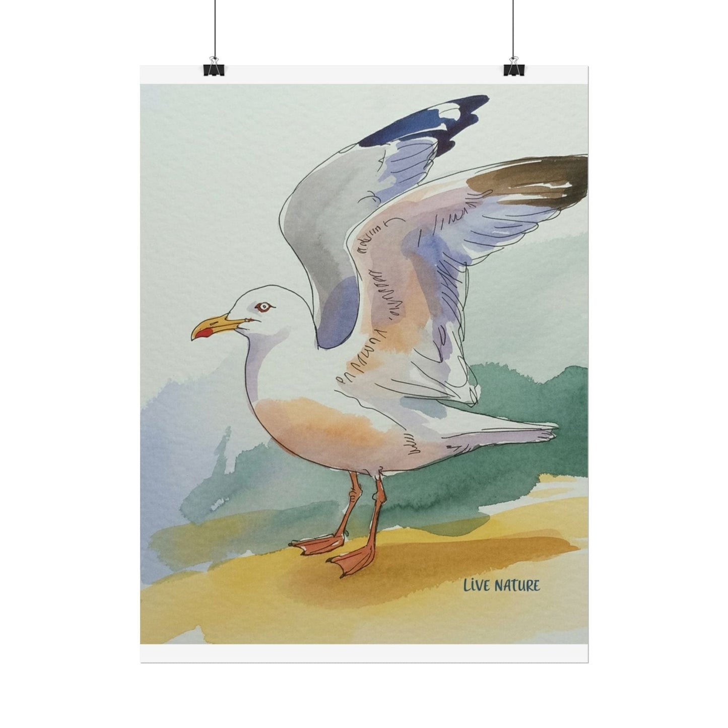 Seagull Watercolor Art Print 'Live Nature' Edition