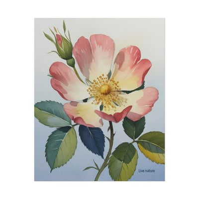 Wild Prairie Rose Watercolor Art Print