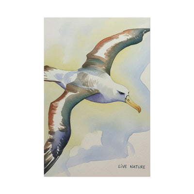 Albatross Watercolor Art Print - Live Nature Design