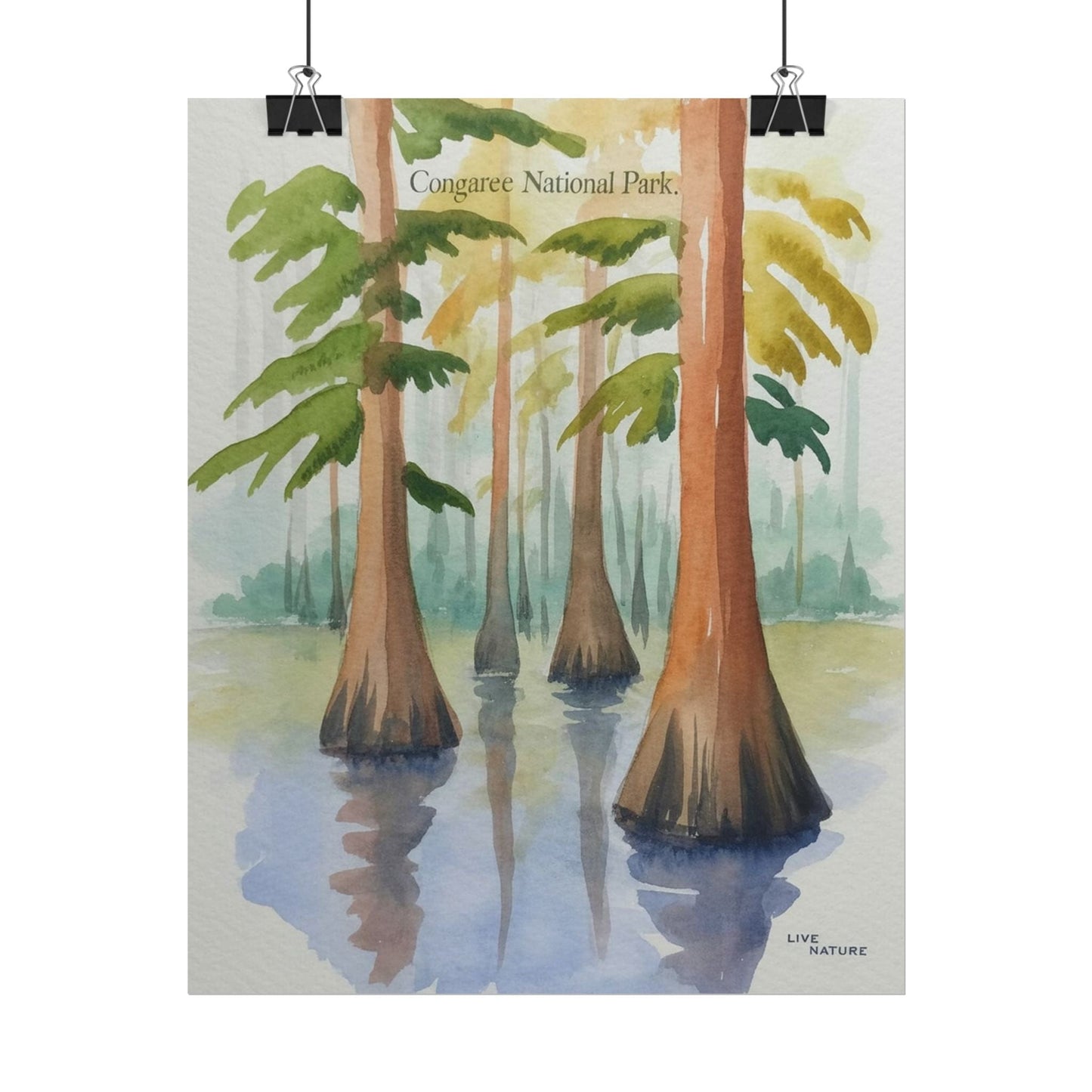 Congaree National Park Cypress Watercolor Poster