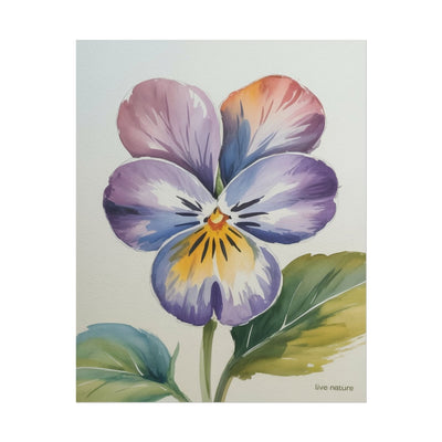 Violet Pansy Watercolor Art Print - Live Nature Design