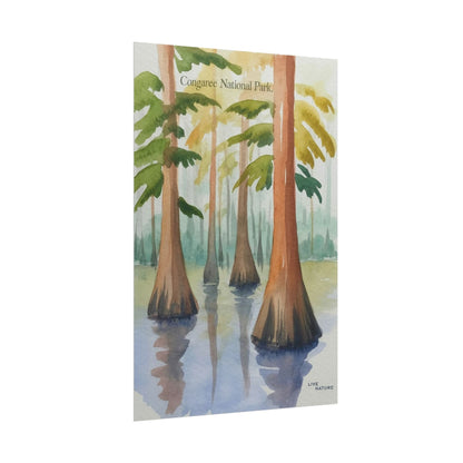 Congaree National Park Cypress Watercolor Poster
