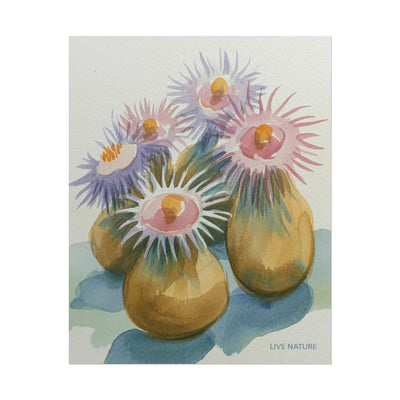 Colorful Sea Anemones Watercolor Art Print