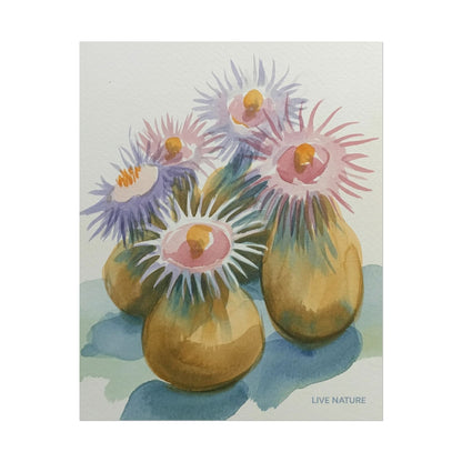 Colorful Sea Anemones Watercolor Art Print