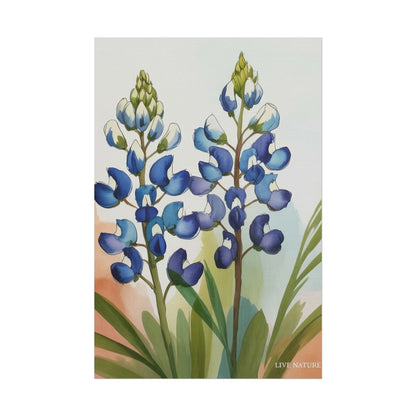Texas Bluebonnet Watercolor Art Print Matte Finish