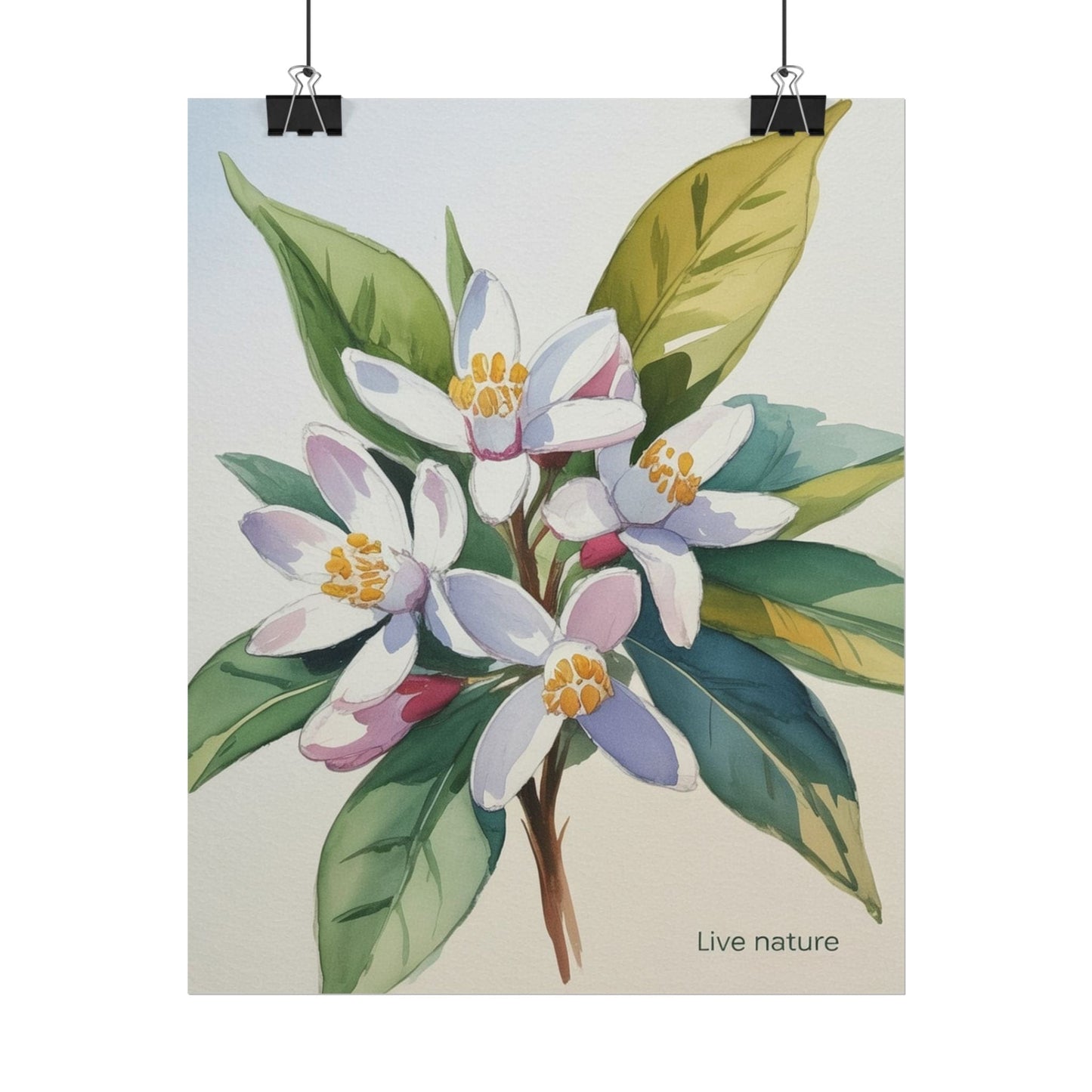 Orange Blossom Floral Watercolor Print 'Live Nature