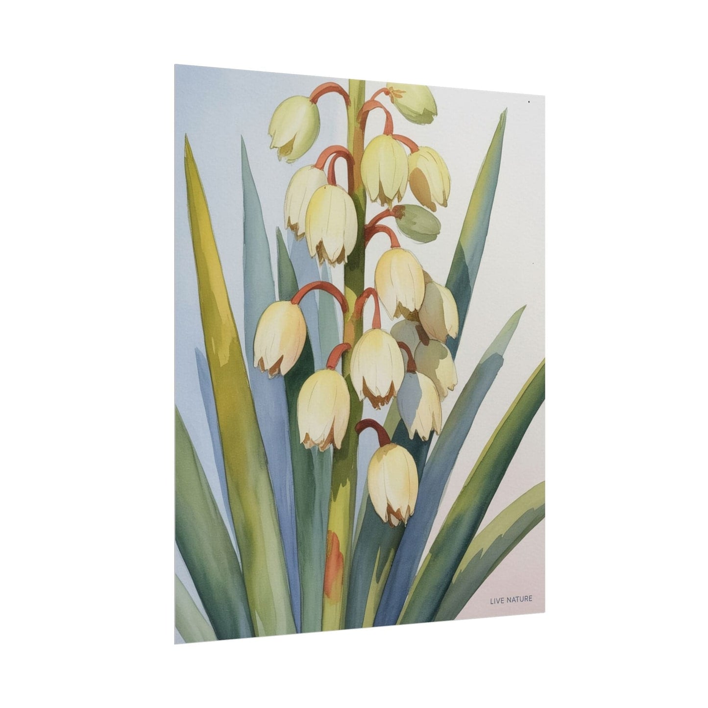 Yucca Bloom Watercolor Print Live Nature Collection