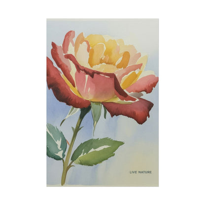 New York State Rose Watercolor Art Print