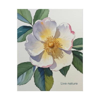 Cherokee Rose Watercolor Art Print 'Live Nature