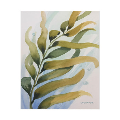 Live Nature Kelp Watercolor Print Poster