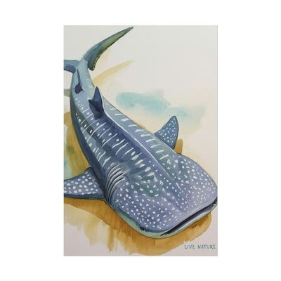 Whale Shark Watercolor Print Live Nature Design