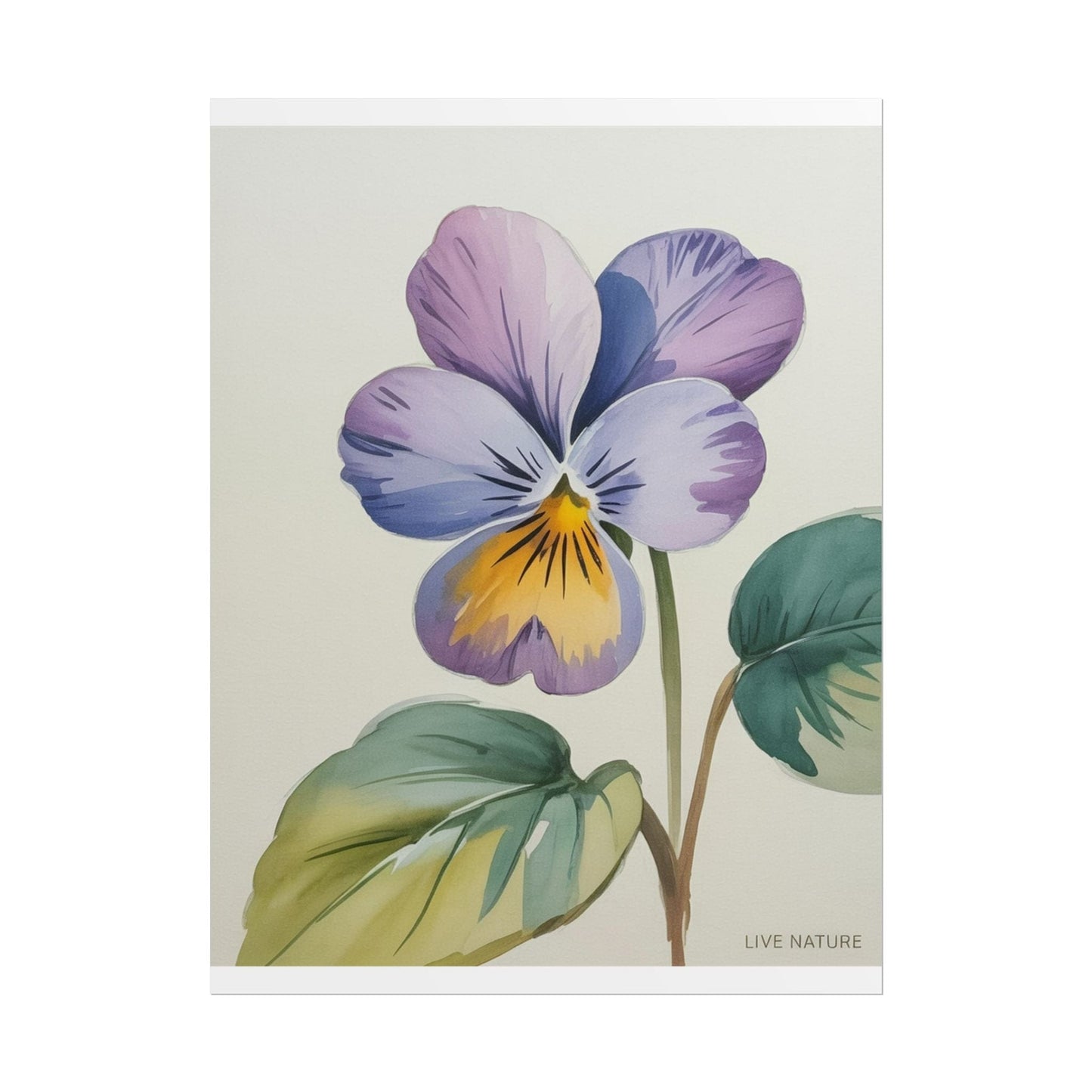 Wisconsin Wood Violet Watercolor Print – State Flower Art