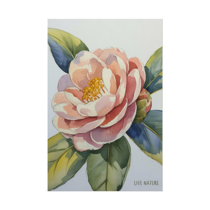 Camellia Flower Watercolor Art Print 'Live Nature