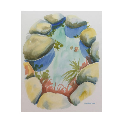 Rocky Tide Pool Watercolor Art Print 'Live Nature