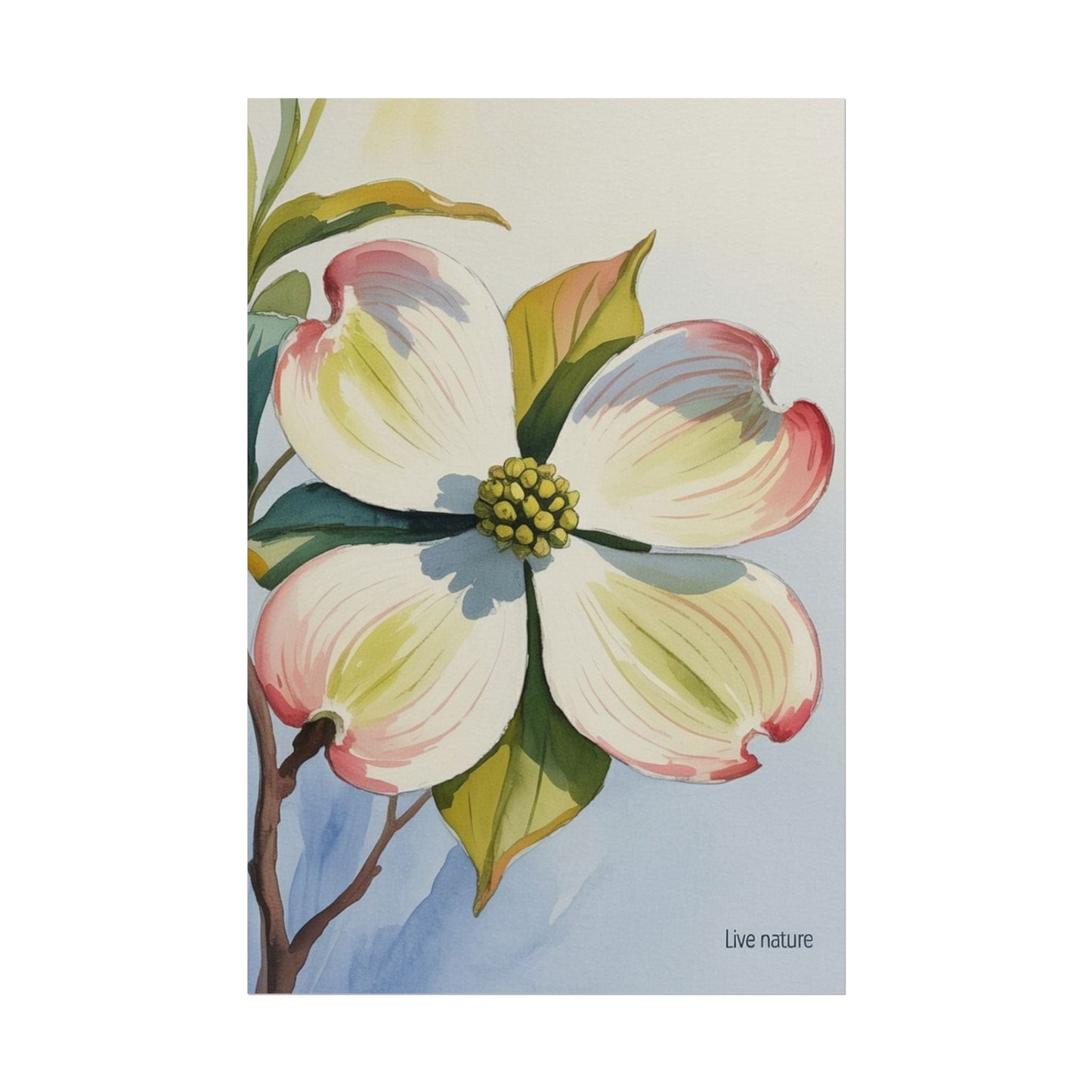 North Carolina Dogwood Watercolor Art Print