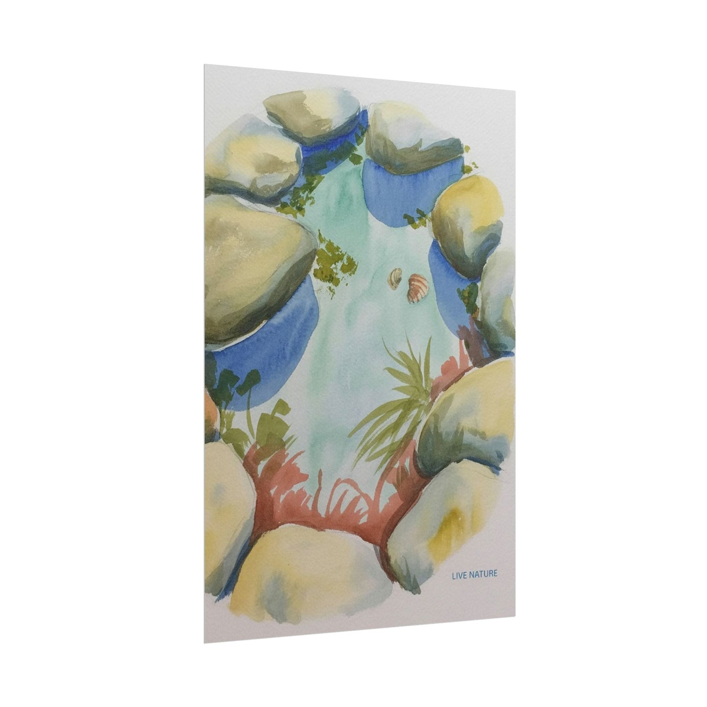 Rocky Tide Pool Watercolor Art Print 'Live Nature