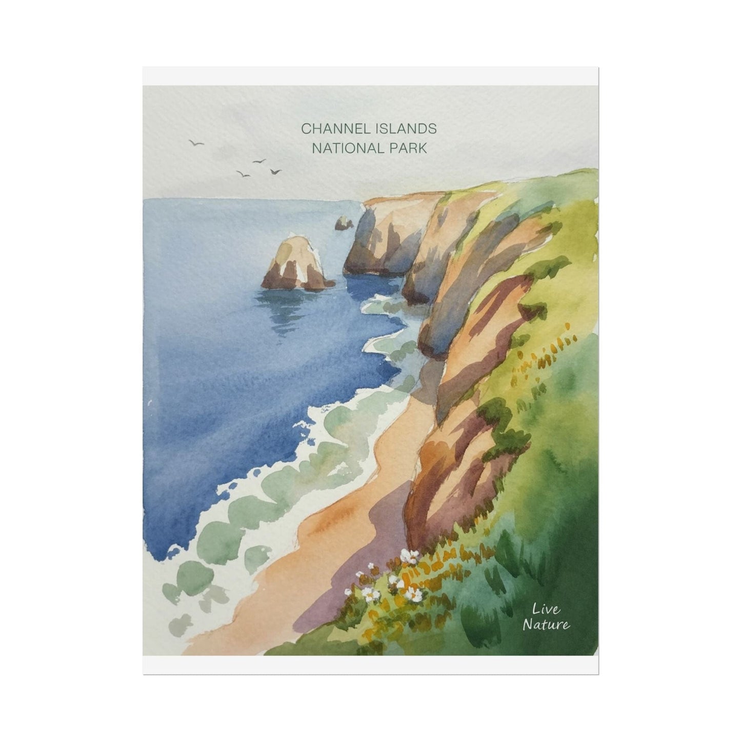 Channel Islands National Park Watercolor Poster Print