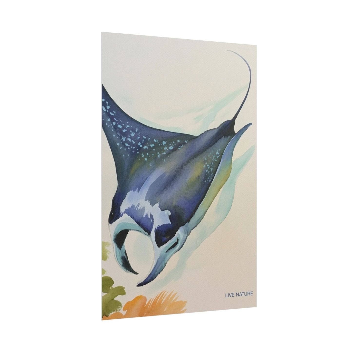 Manta Ray Watercolor Art Print 'Live Nature' Design